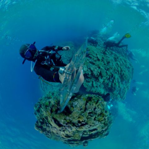 ダイブテリーズ