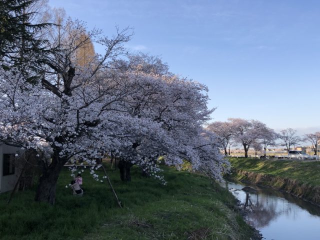 ダイブテリーズ