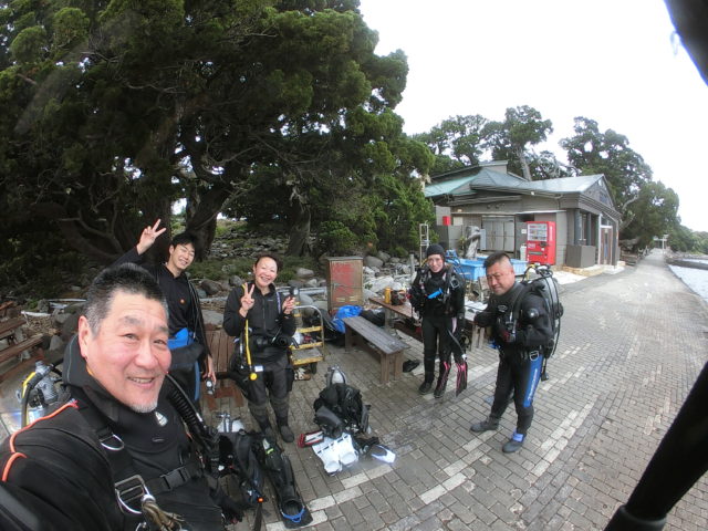 ダイブテリーズ