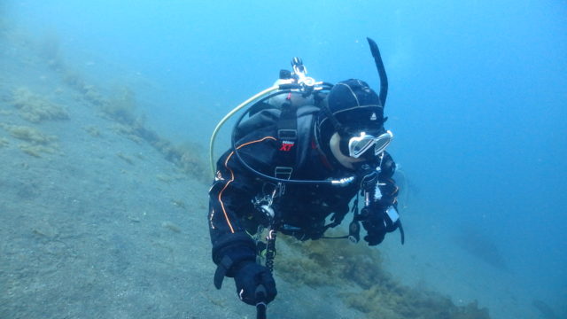 ダイブテリーズ