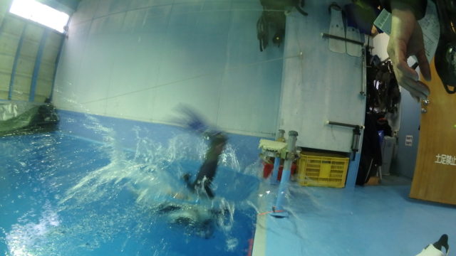 ダイブテリーズ