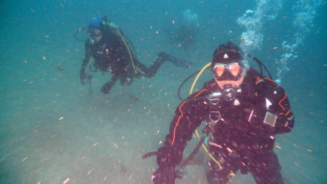 ダイブテリーズ