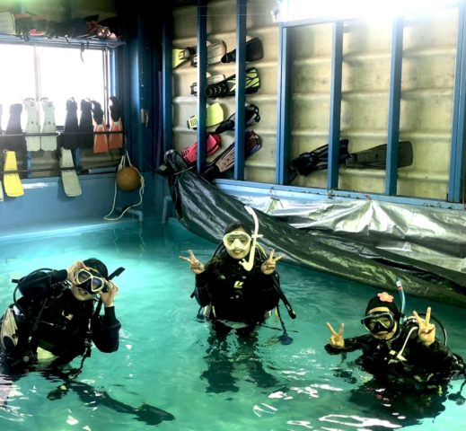 ダイブテリーズ