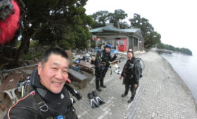 ダイブテリーズ