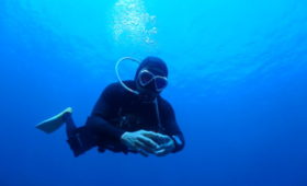 ダイブテリーズ