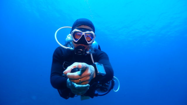 ダイブテリーズ