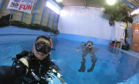 ダイブテリーズ