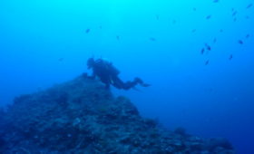 ダイブテリーズ