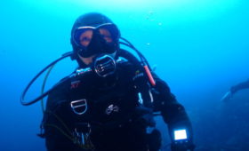 ダイブテリーズ