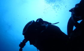 ダイブテリーズ