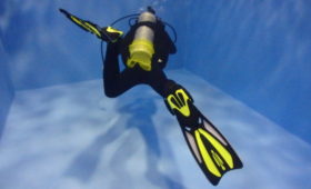 ダイブテリーズ