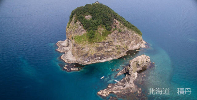 ダイブテリーズ