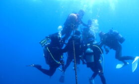 ダイブテリーズ