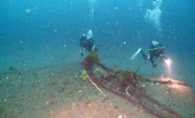 ダイブテリーズ