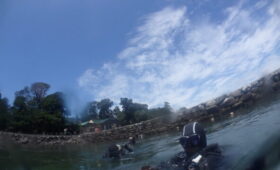 ダイブテリーズ