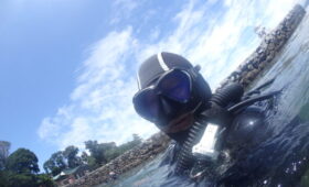 ダイブテリーズ