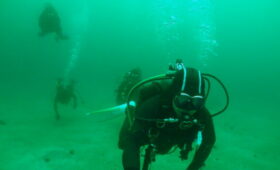 ダイブテリーズ