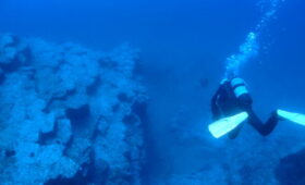 ダイブテリーズ