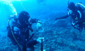 ダイブテリーズ