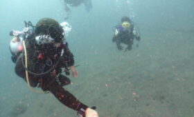 ダイブテリーズ