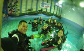 ダイブテリーズ