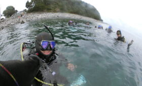 ダイブテリーズ