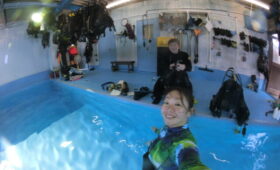 ダイブテリーズ