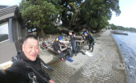 ダイブテリーズ