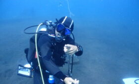 ダイブテリーズ