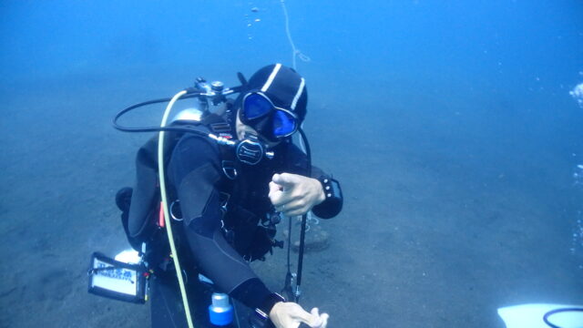 ダイブテリーズ