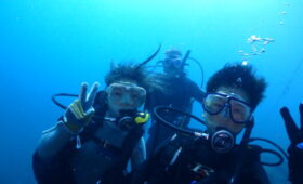 ダイブテリーズ