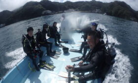 ダイブテリーズ