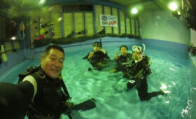 ダイブテリーズ