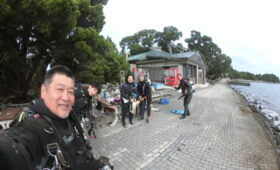 ダイブテリーズ