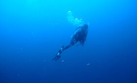 ダイブテリーズ