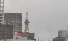 ダイブテリーズ