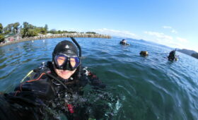 ダイブテリーズ