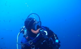 ダイブテリーズ