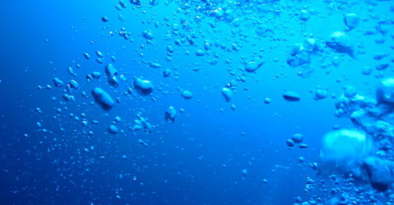 ダイブテリーズ