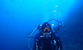 ダイブテリーズ