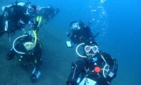 ダイブテリーズ