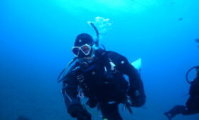 ダイブテリーズ