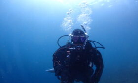 ダイブテリーズ