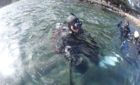 ダイブテリーズ