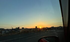 ダイブテリーズ