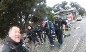 ダイブテリーズ