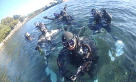 ダイブテリーズ