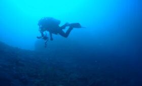 ダイブテリーズ