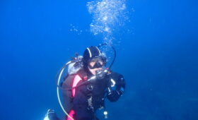 ダイブテリーズ