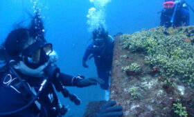 ダイブテリーズ